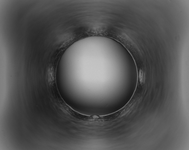 X0000088491107200705221421