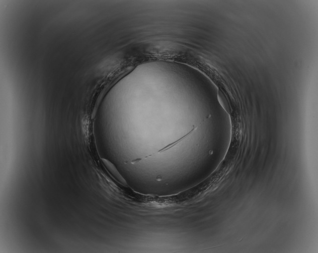 X0000088491108200705221421