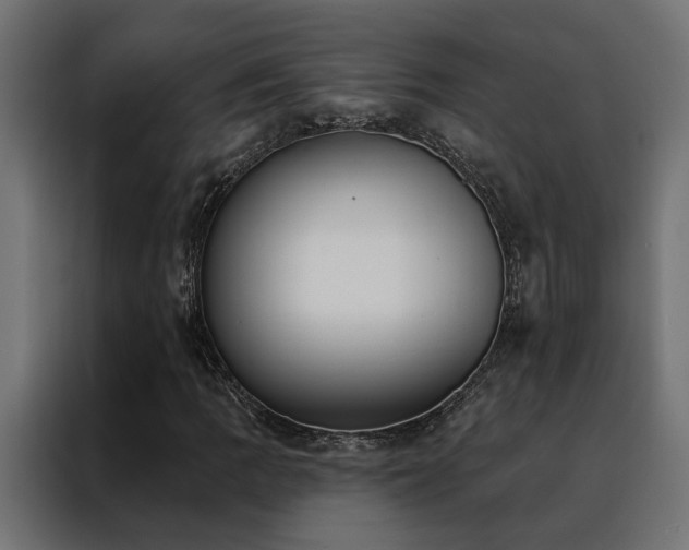 X0000088491109200705221421