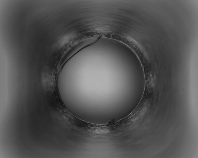 X0000088491110200705221421