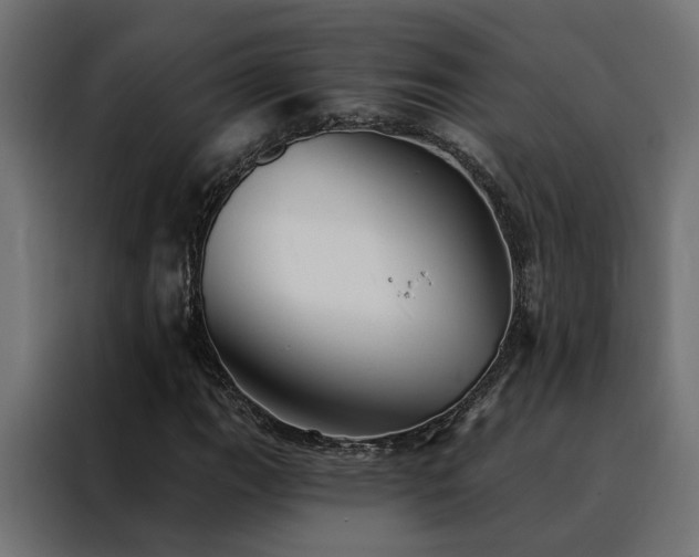 X0000088491111200705221421