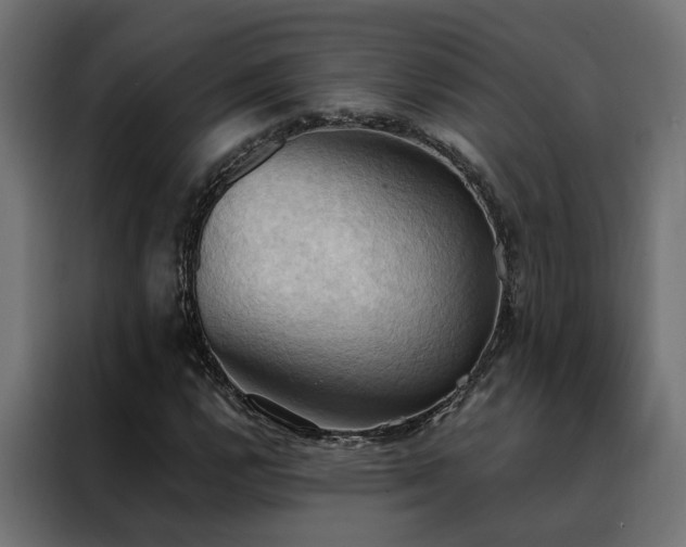 X0000088491112200705221421