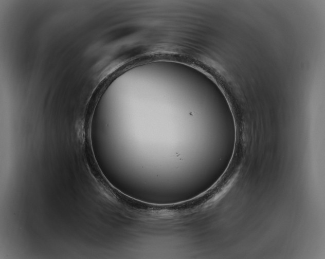 X0000088491113200705221421