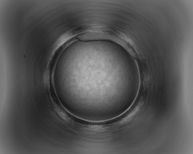 X0000088491114200705221421