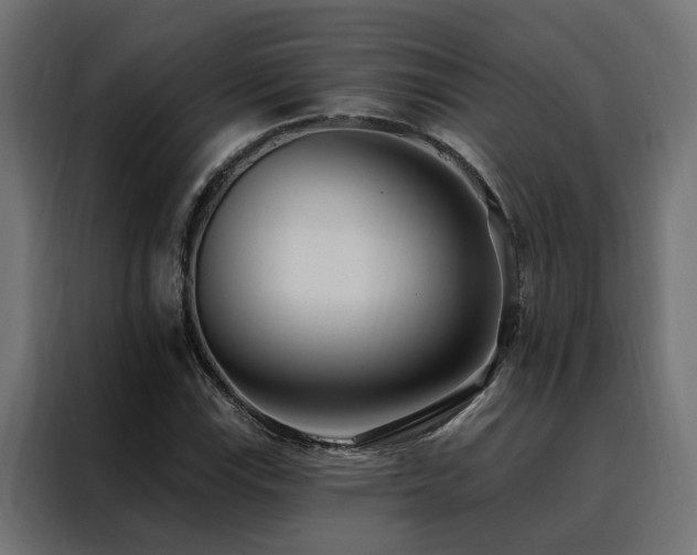X0000088491115200705221421