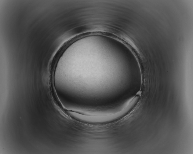 X0000088491116200705221421