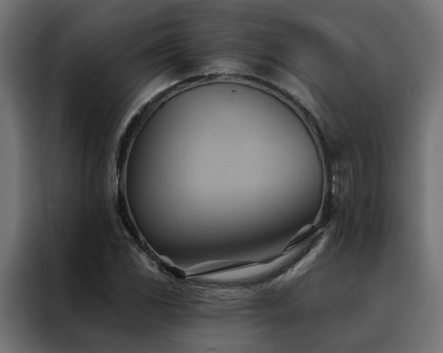 X0000088491117200705221421
