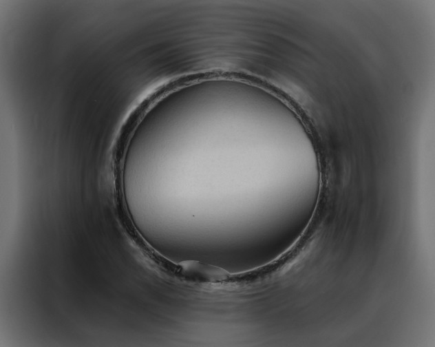 X0000088491118200705221421
