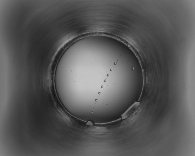 X0000088491119200705221421