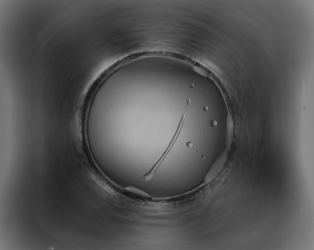 X0000088491120200705221421