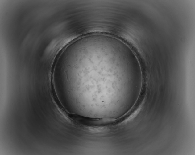 X0000088491121200705221421