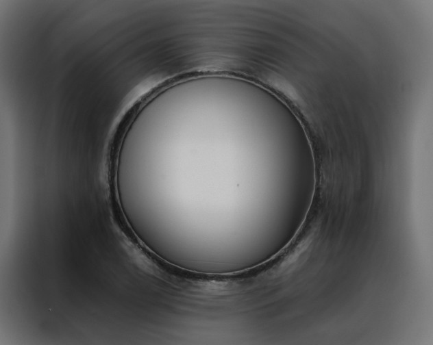 X0000088491122200705221421