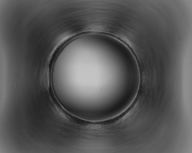 X0000088491123200705221421