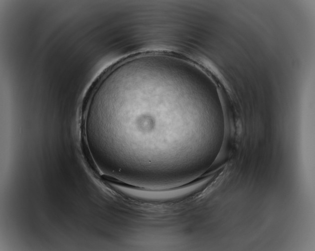 X0000088491124200705221421