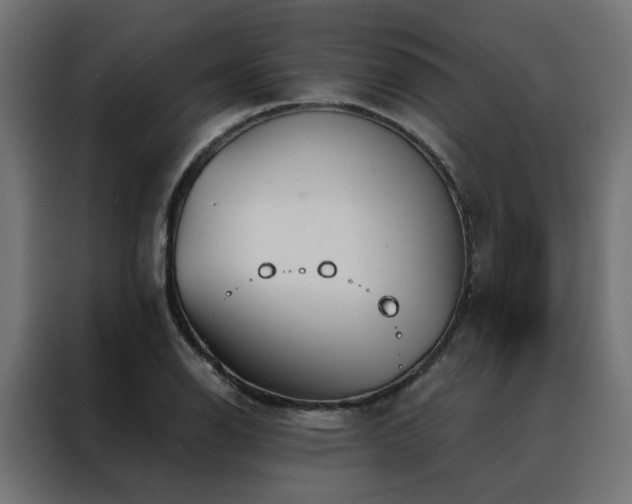 X0000088491126200705221421
