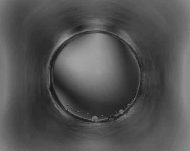 X0000088491127200705221421