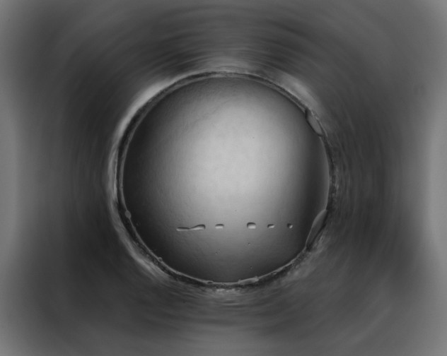 X0000088491128200705221421