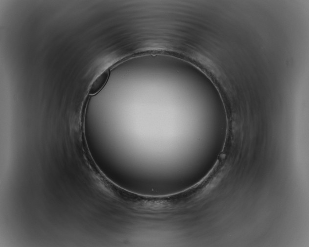 X0000088491129200705221421