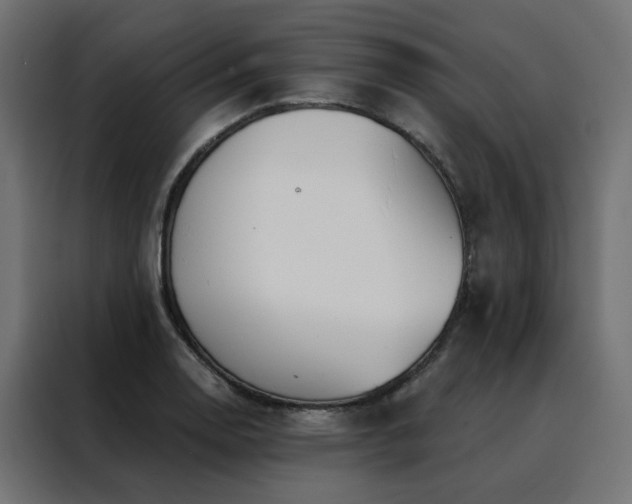 X0000088491130200705221421