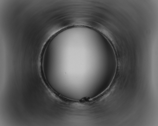 X0000088491133200705221421