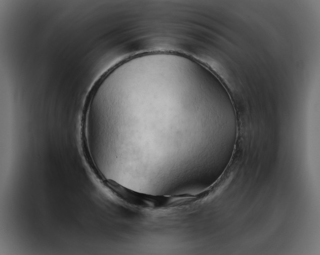 X0000088491134200705221421