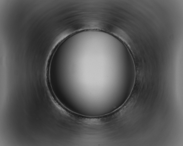 X0000088491135200705221421