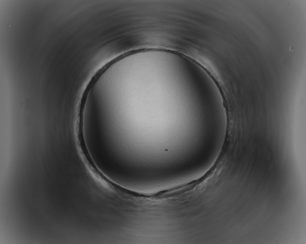 X0000088491136200705221422