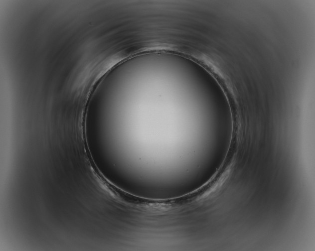 X0000088491137200705221422