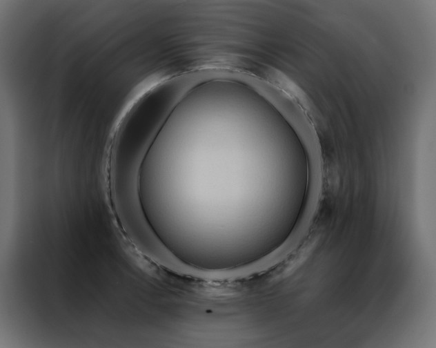 X0000088491138200705221422
