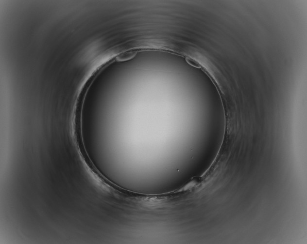 X0000088491139200705221422