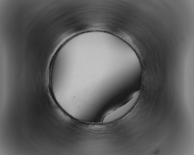 X0000088491140200705221422