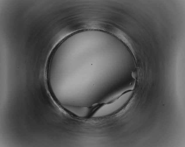 X0000088491141200705221422