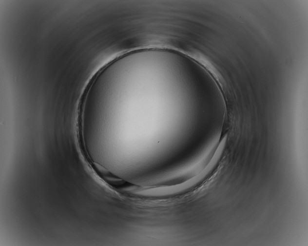 X0000088491142200705221422