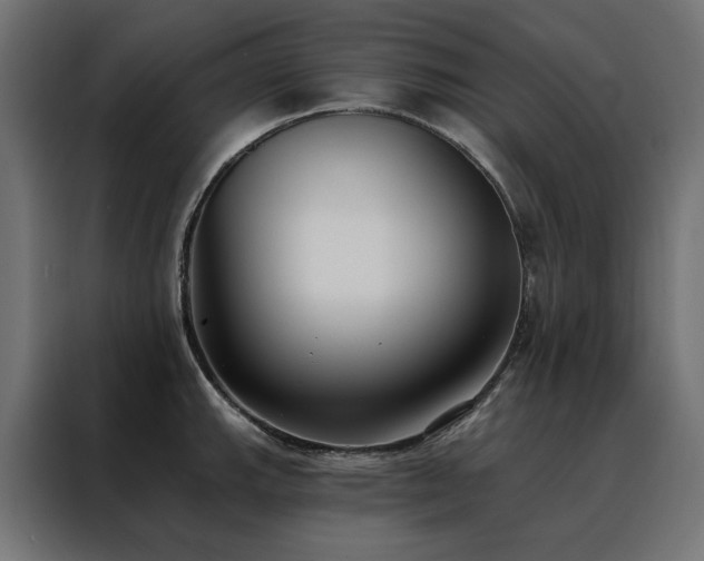 X0000088491143200705221422