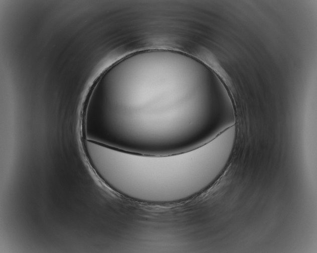 X0000088491144200705221422