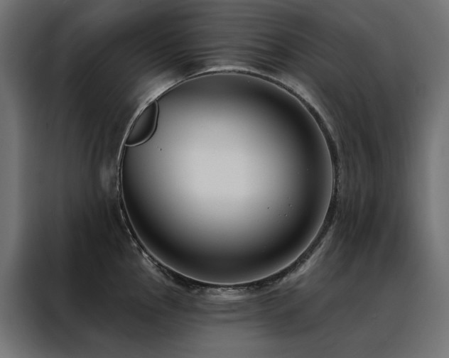 X0000088491145200705221422