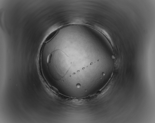 X0000088491146200705221422