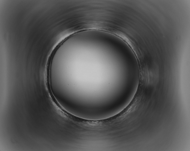 X0000088491147200705221422