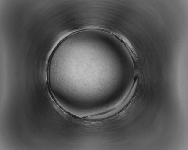 X0000088491148200705221422