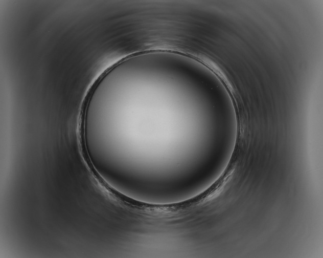 X0000088491149200705221422