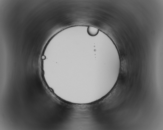 X0000088491150200705221422