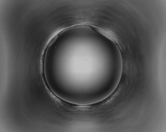 X0000088491151200705221422