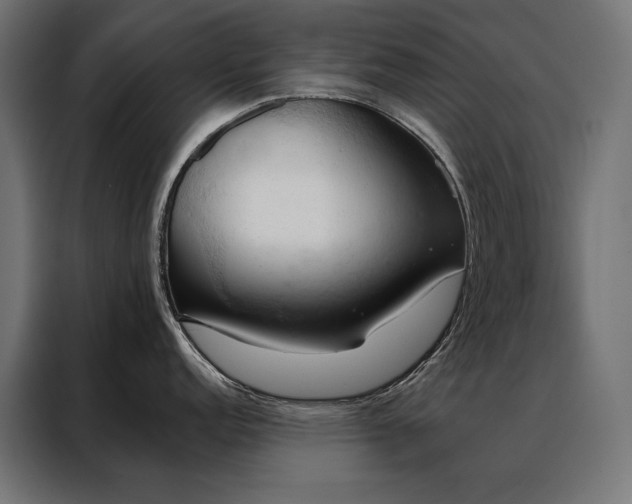 X0000088491152200705221422