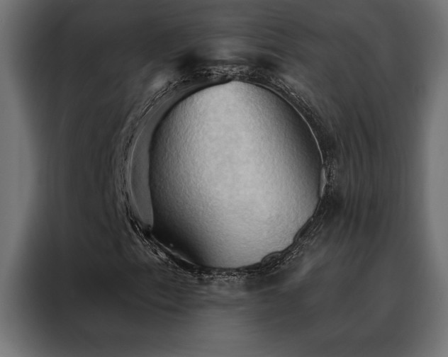 X0000088491153200705221421