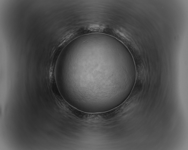X0000088491154200705221421