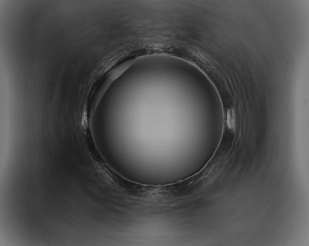 X0000088491155200705221421
