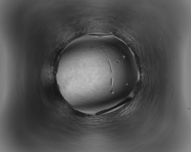 X0000088491156200705221421