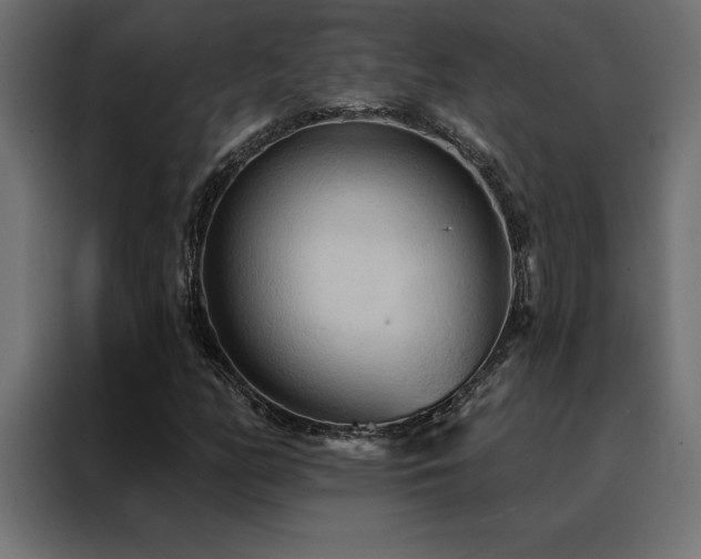 X0000088491158200705221421