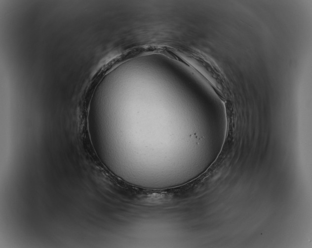 X0000088491160200705221421