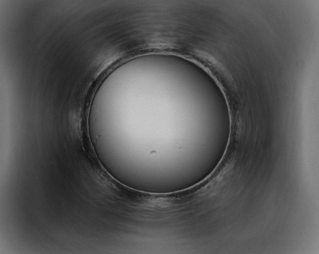 X0000088491162200705221421